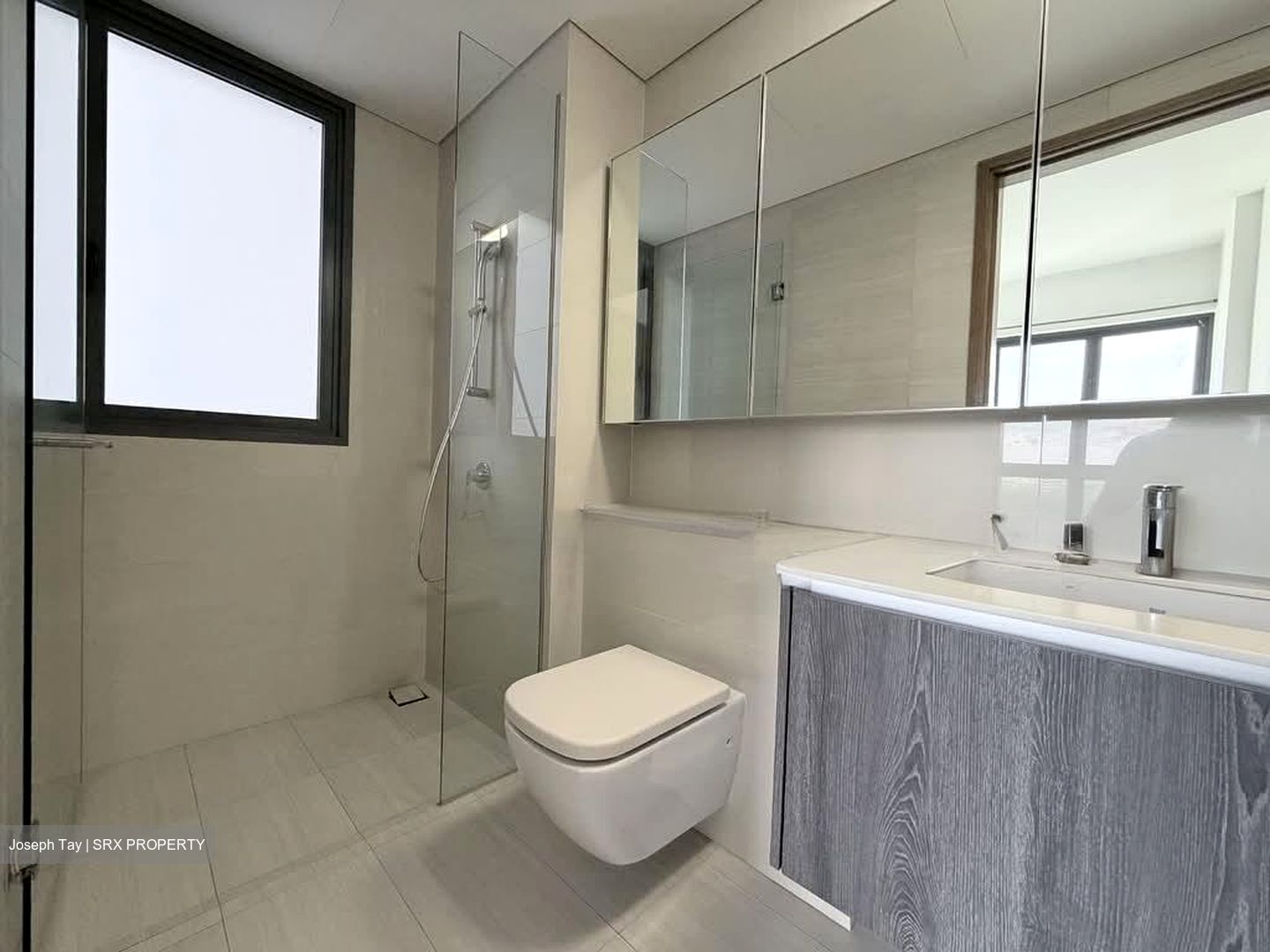 Lakeville (D22), Condominium #546590971